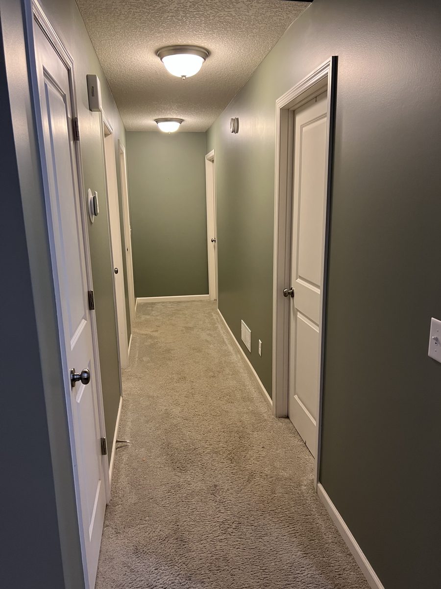 Interior Hallway — Green Walls